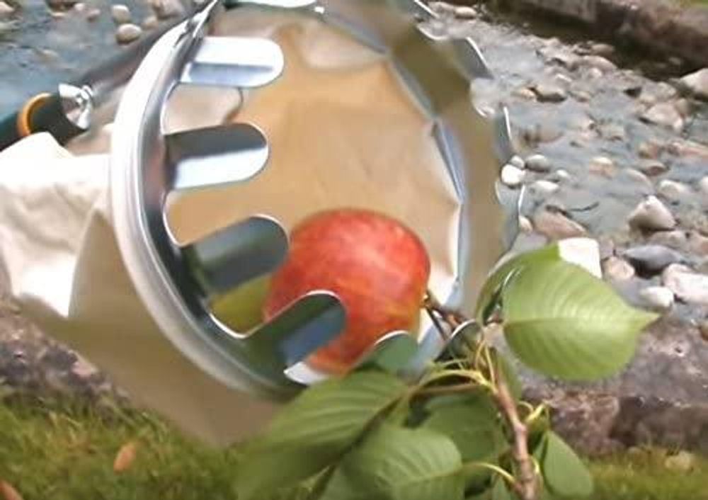 Telescopic Fruit Picker With 3m Handle