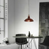 Modern Vintage Industrial Retro Metal Lamp Shade Loft Pendant Ceiling Light