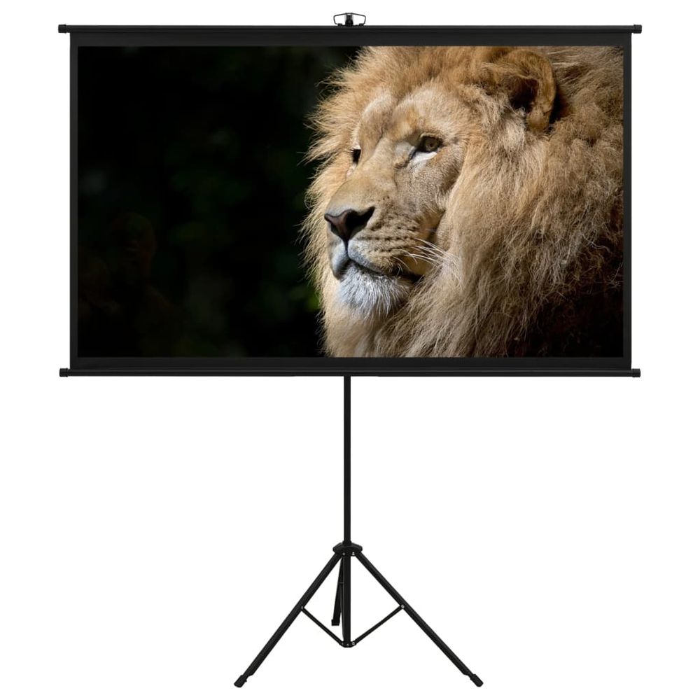 Projection Screen with Tripod Theater Presentation Film Multi Sizes