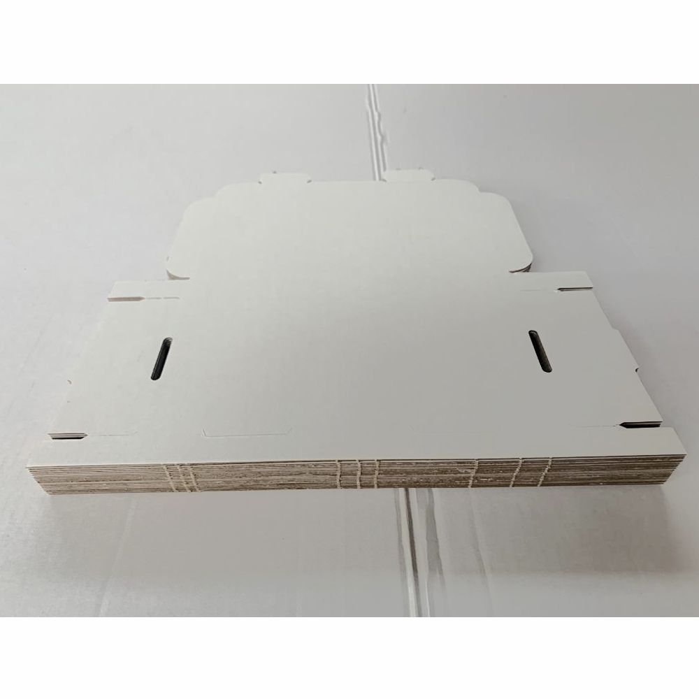 DL PIP Boxes (White) suitable for Large Letter Postal Box 22x11x2 cm (200)