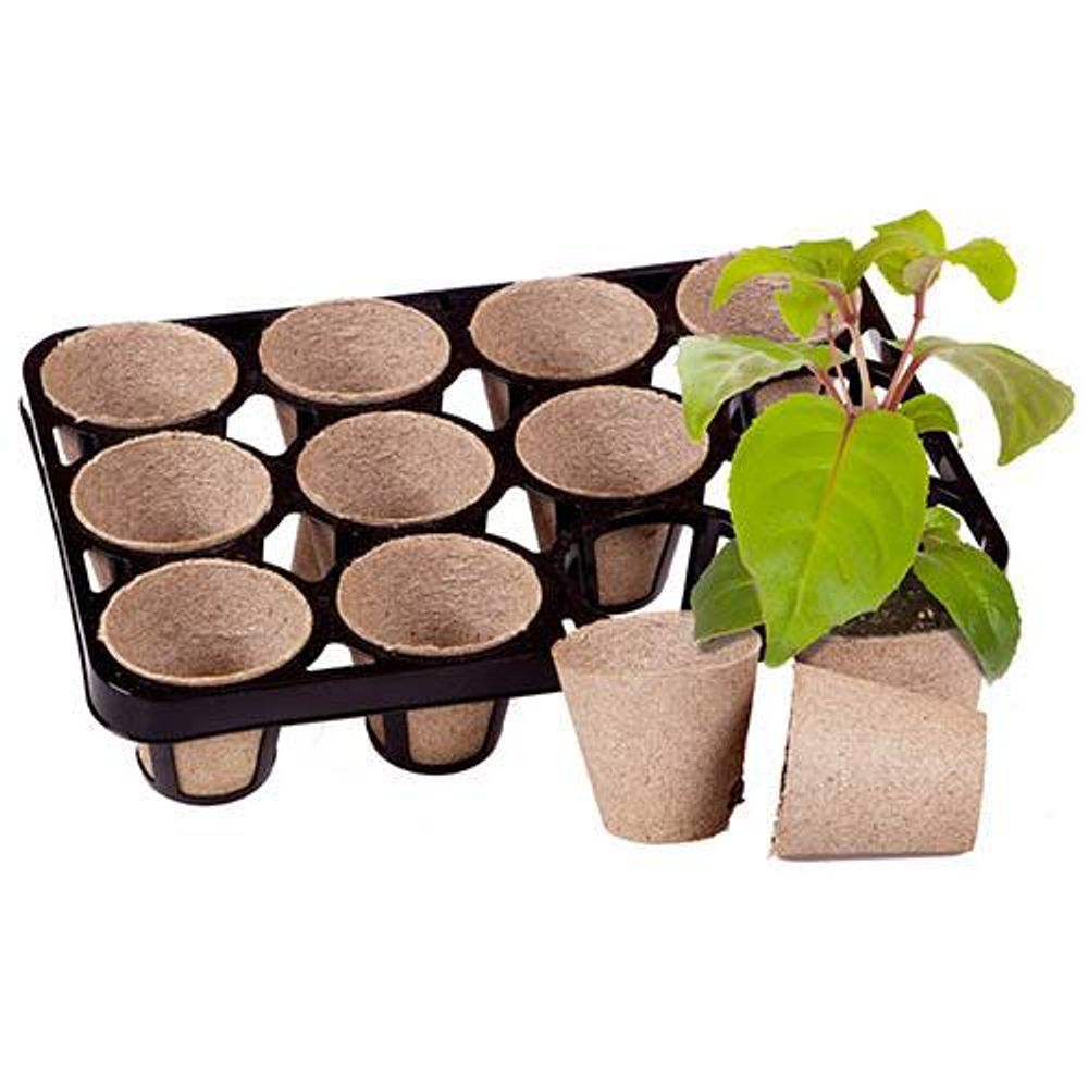 Skelly Tray 3 pack with 36 Bio Pots