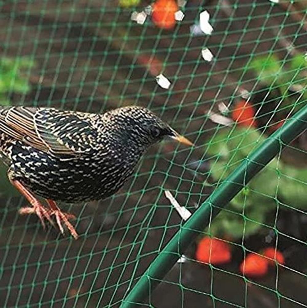Aspect Bird Netting for Garden 2 PACK,10 X 2M Ft Garden Netting