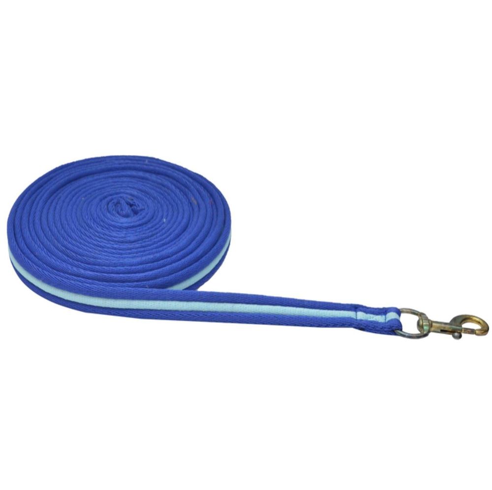 4 Metres Soft Padded Lunging Rein Pony Horse Training Long Lunge Line 22 Colours